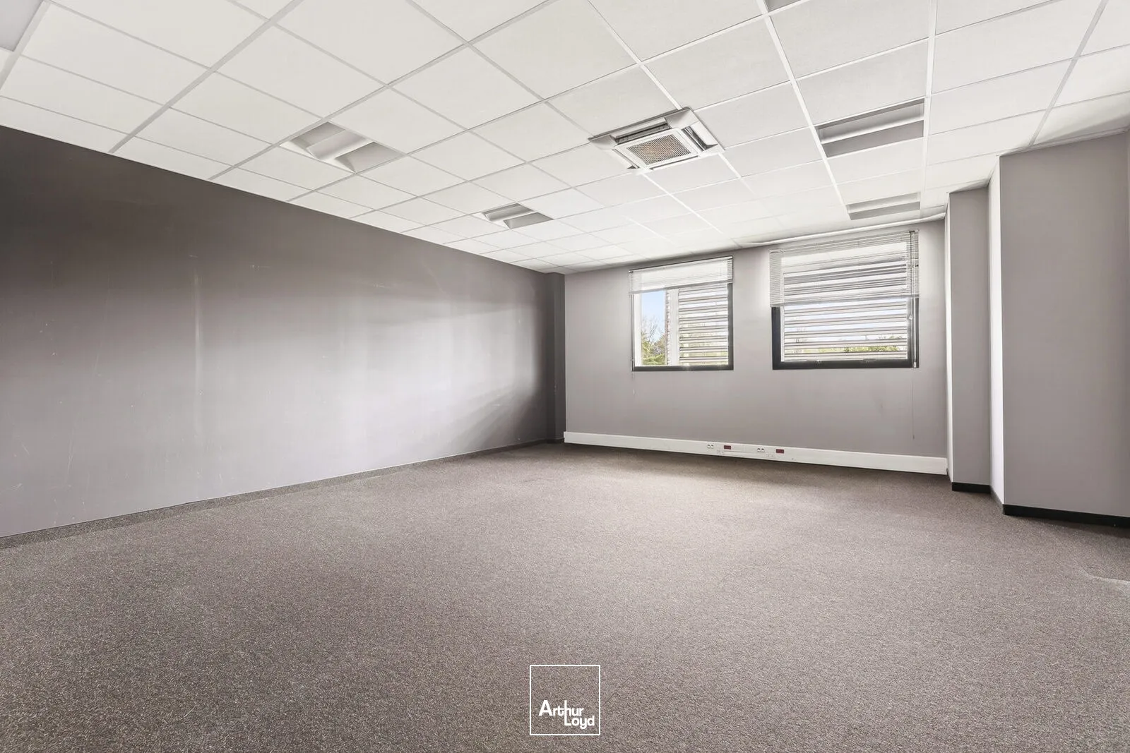 Locaux d'activité & Entrepôts - Location - AMBARES ET LAGRAVE - 33440 - 13664-13664 - 7785494