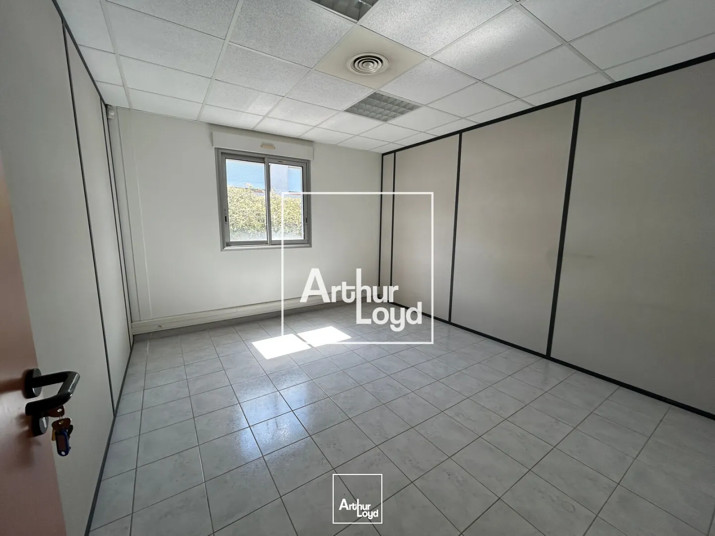 Locaux d'activité & Entrepôts - Vente - MONDOUZIL - 31850 - 862-862 - 7785813