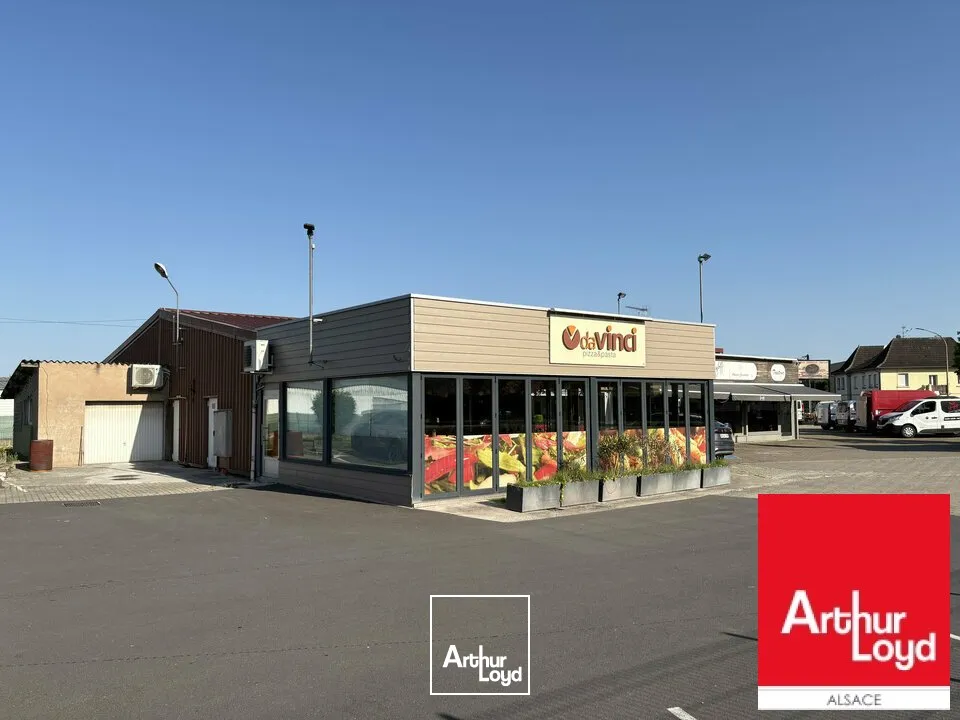 Locaux d'activité & Entrepôts - Vente - SARRE-UNION - 67260 - 653-653 - 7786019