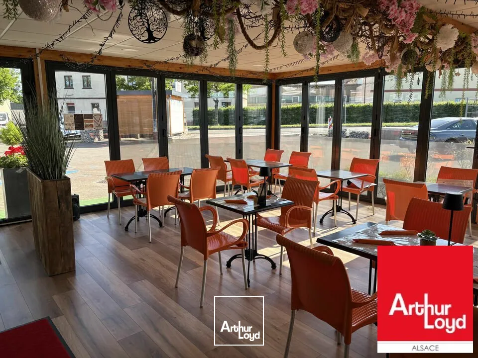 Locaux d'activité & Entrepôts - Vente - SARRE-UNION - 67260 - 653-653 - 7786020