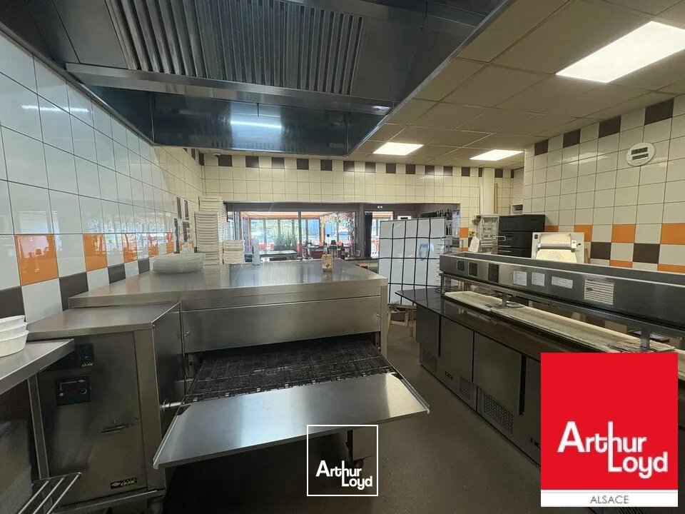 Locaux d'activité & Entrepôts - Vente - SARRE-UNION - 67260 - 653-653 - 7786022
