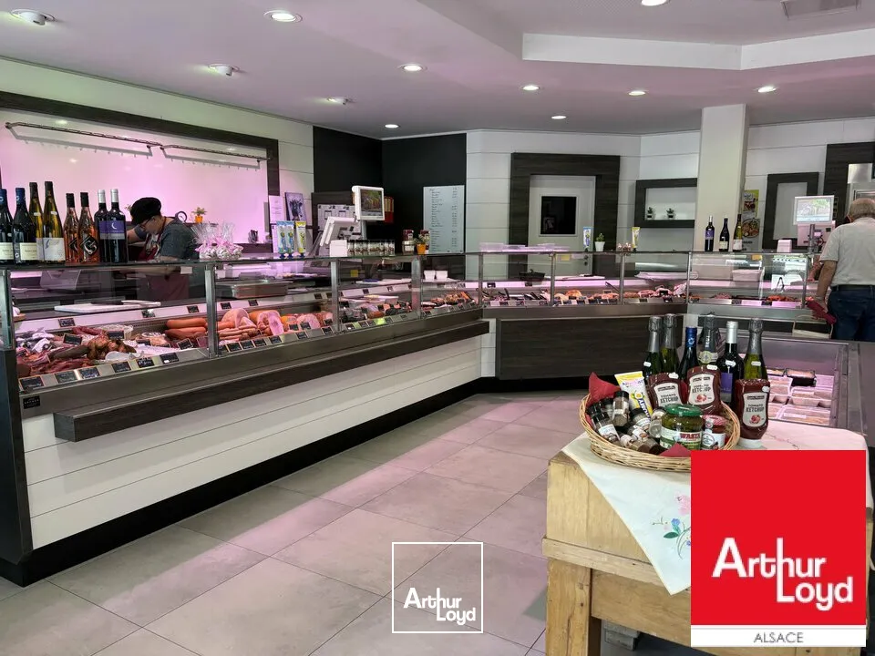 Locaux d'activité & Entrepôts - Vente - SARRE-UNION - 67260 - 653-653 - 7786025