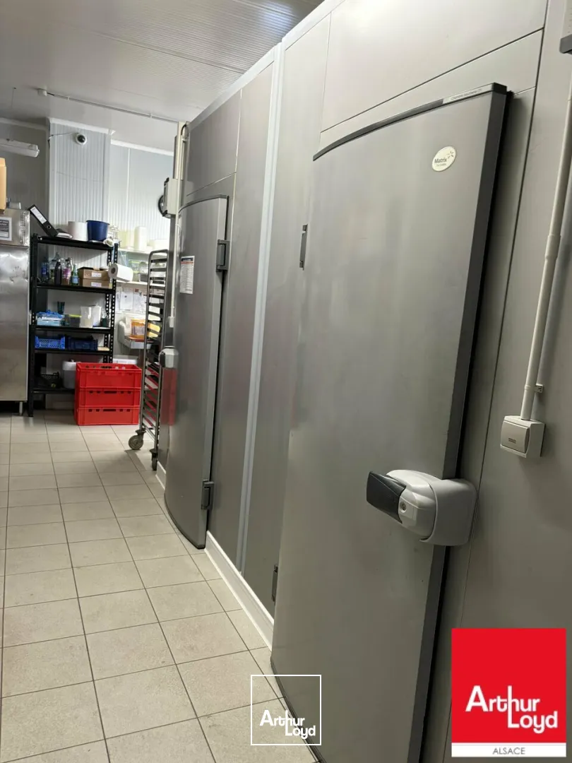 Locaux d'activité & Entrepôts - Vente - SARRE-UNION - 67260 - 653-653 - 7786026