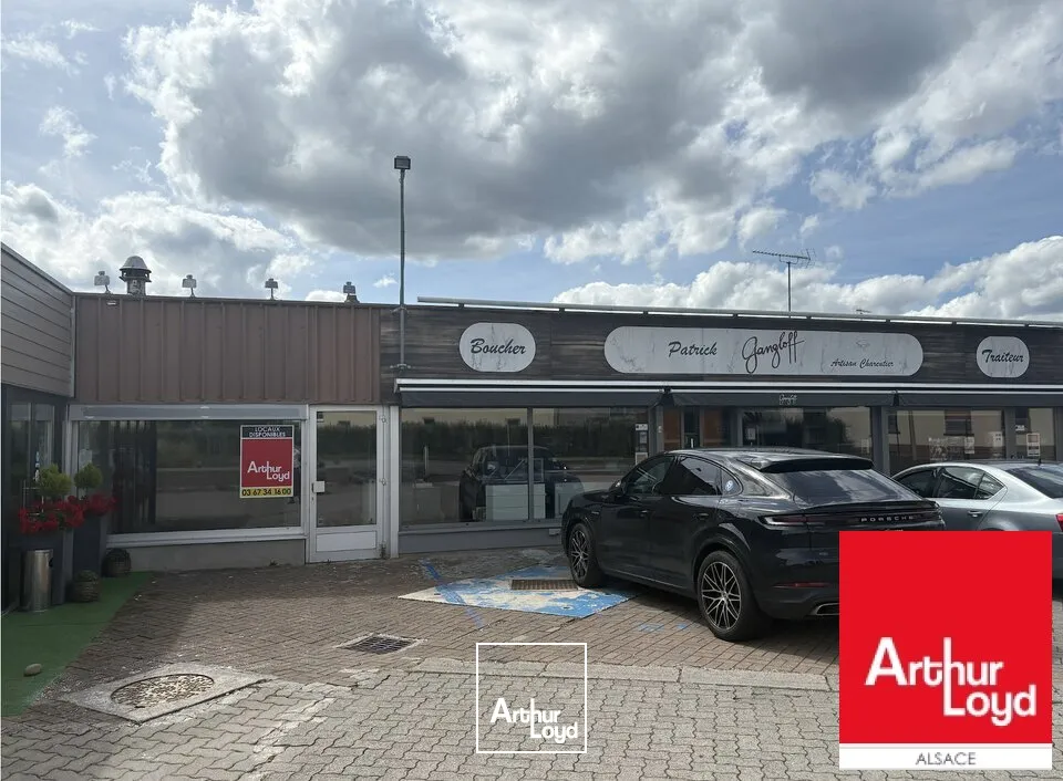 Locaux d'activité & Entrepôts - Vente - SARRE-UNION - 67260 - 653-653 - 7786024