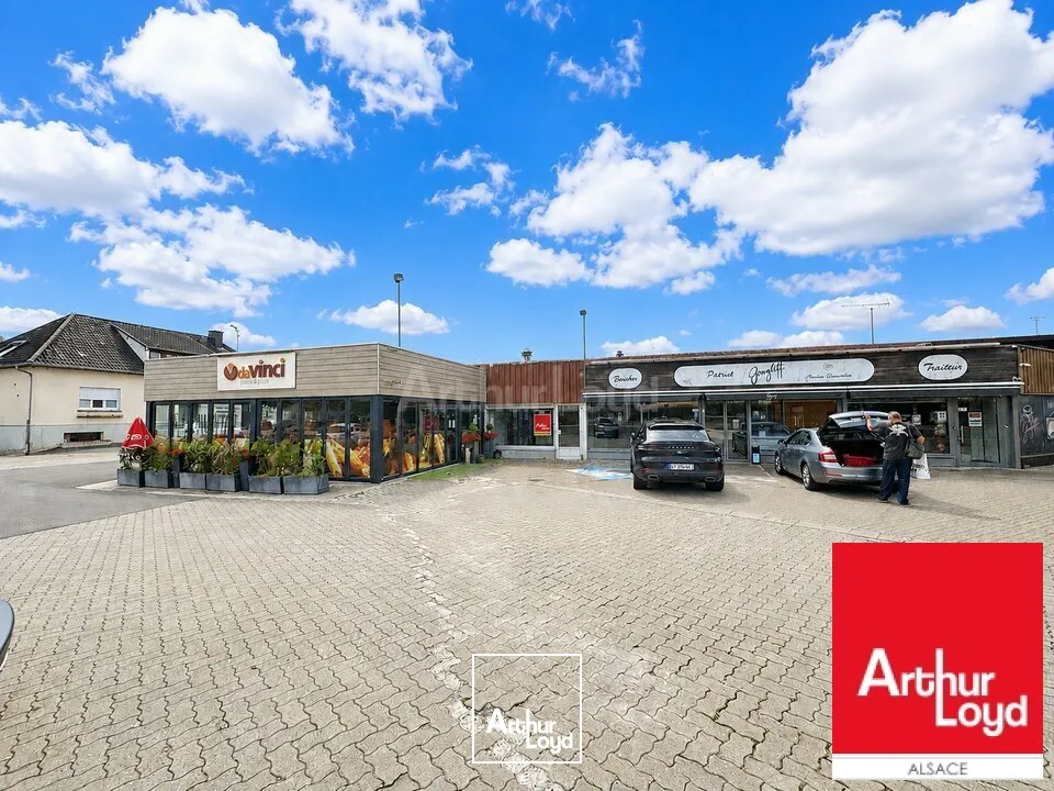 Locaux d'activité & Entrepôts - Vente - SARRE-UNION - 67260 - 653-653 - 7786018