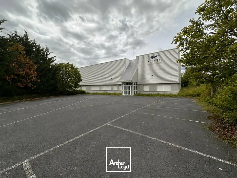 Locaux d'activité & Entrepôts - Location - REIMS - 51100 - 1000-1000 - 7786099
