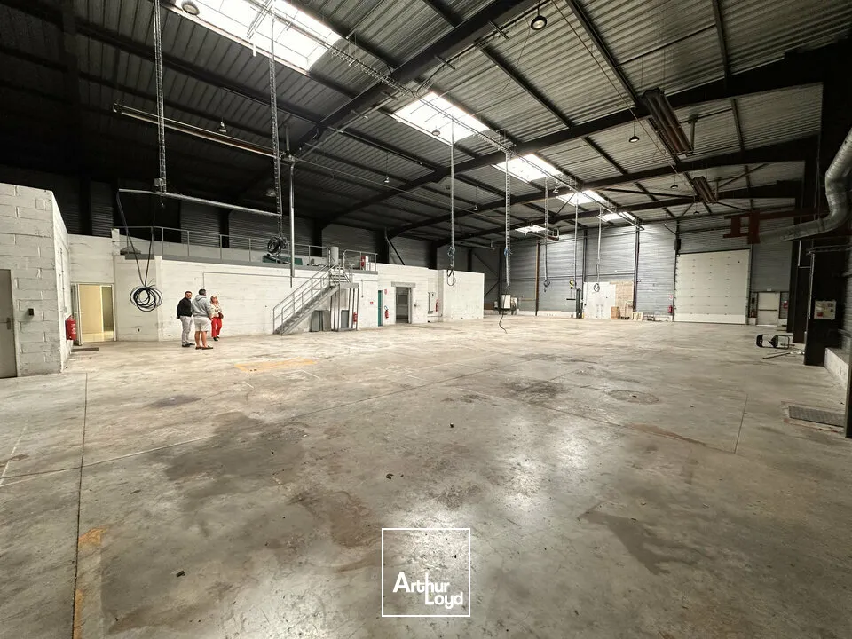 Locaux d'activité & Entrepôts - Location - REIMS - 51100 - 1000-1000 - 7786100