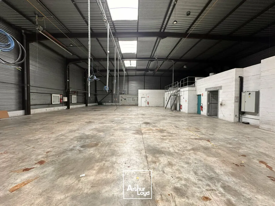 Locaux d'activité & Entrepôts - Location - REIMS - 51100 - 1000-1000 - 7786102