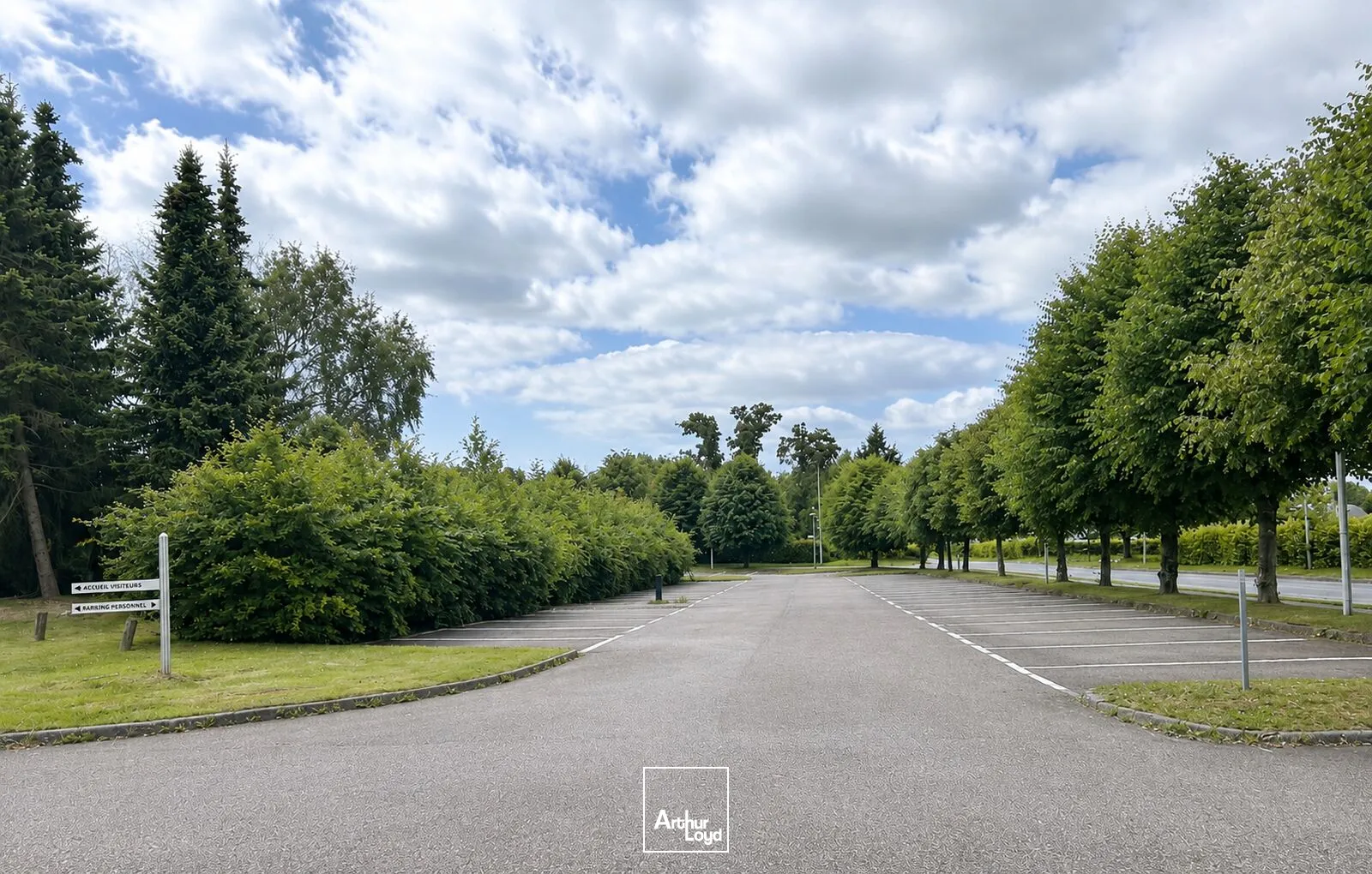 Bureaux - Location - MONT SAINT AIGNAN - 76130 - 1709-3418 - 7786381