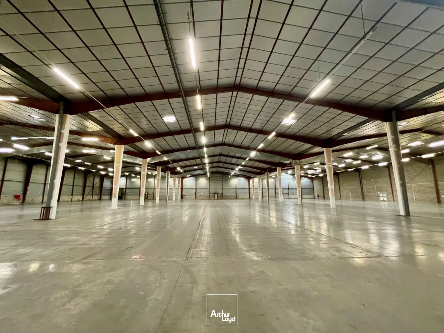 Locaux d'activité & Entrepôts - Location - SAINT PIERRE LES ELBEUF - 76320 - 2000-7600 - 7786383