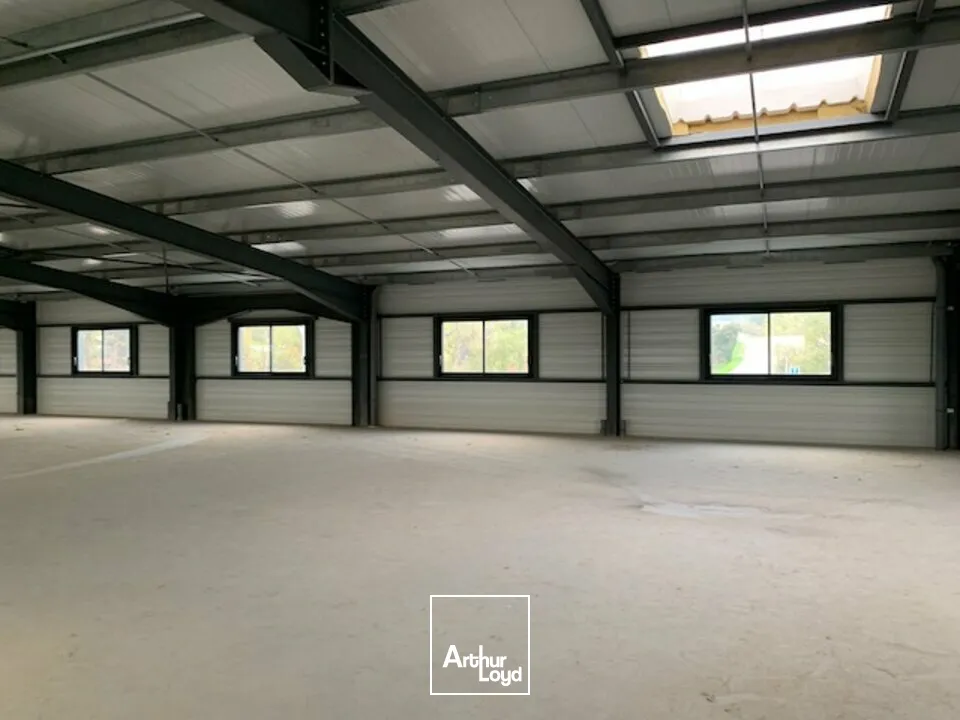 Bureaux - Location - VEDENE - 84270 - 47-208 - 7787893