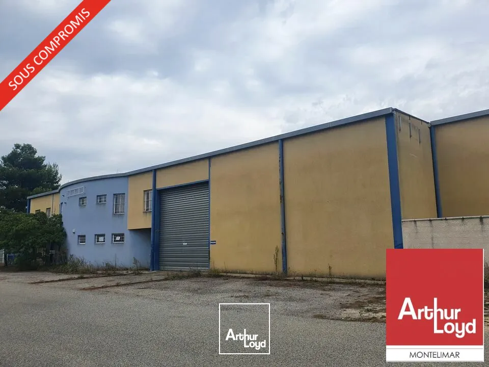 Locaux d'activité & Entrepôts - Vente - SAINT PAUL TROIS CHATEAUX - 26130 - 1270-1270 - 7787894