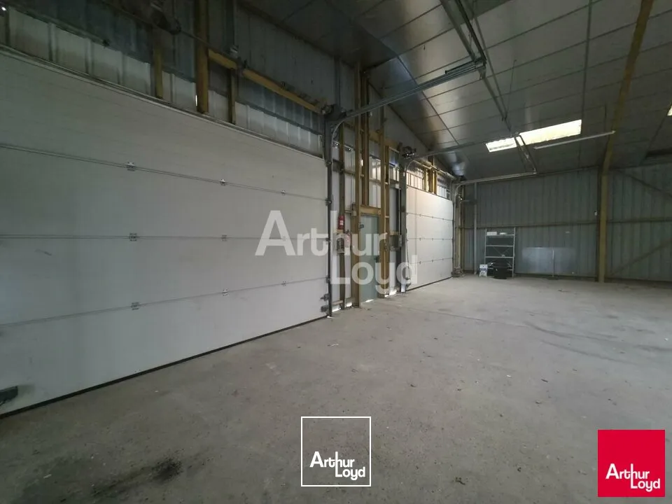 Locaux d'activité & Entrepôts - Location - SAINT-LÉGER-DE-LINIÈRES - 49170 - 440-440 - 7788087