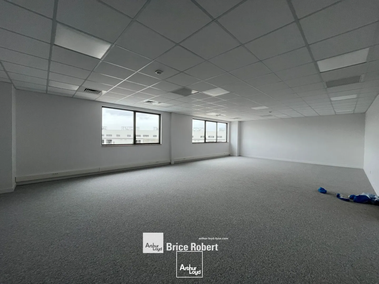 Locaux d'activité & Entrepôts - Location - VENISSIEUX - 69200 - 360-8618 - 7788834