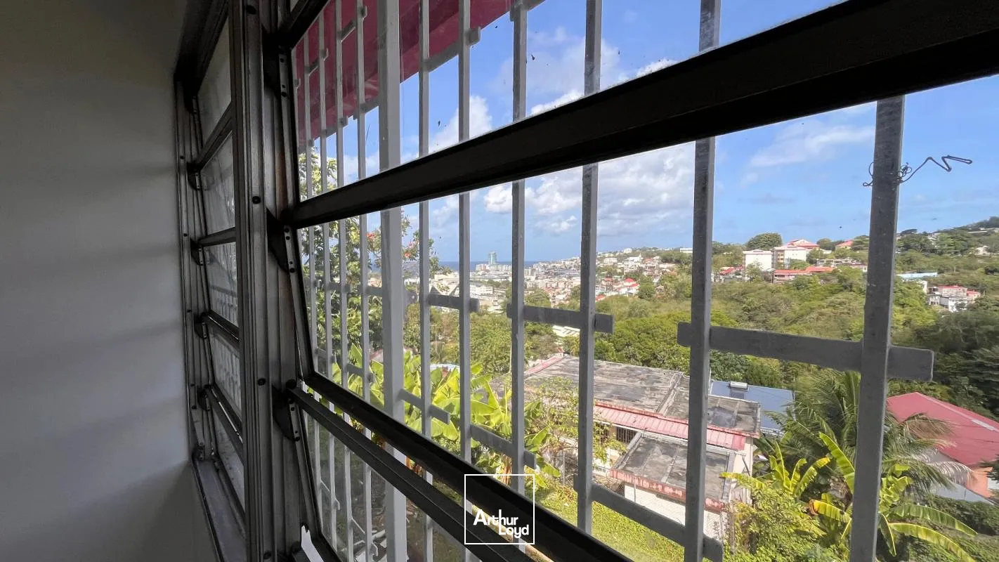 Locaux commerciaux - Location - Fort De France - 97200 - 42-42 - 7788955