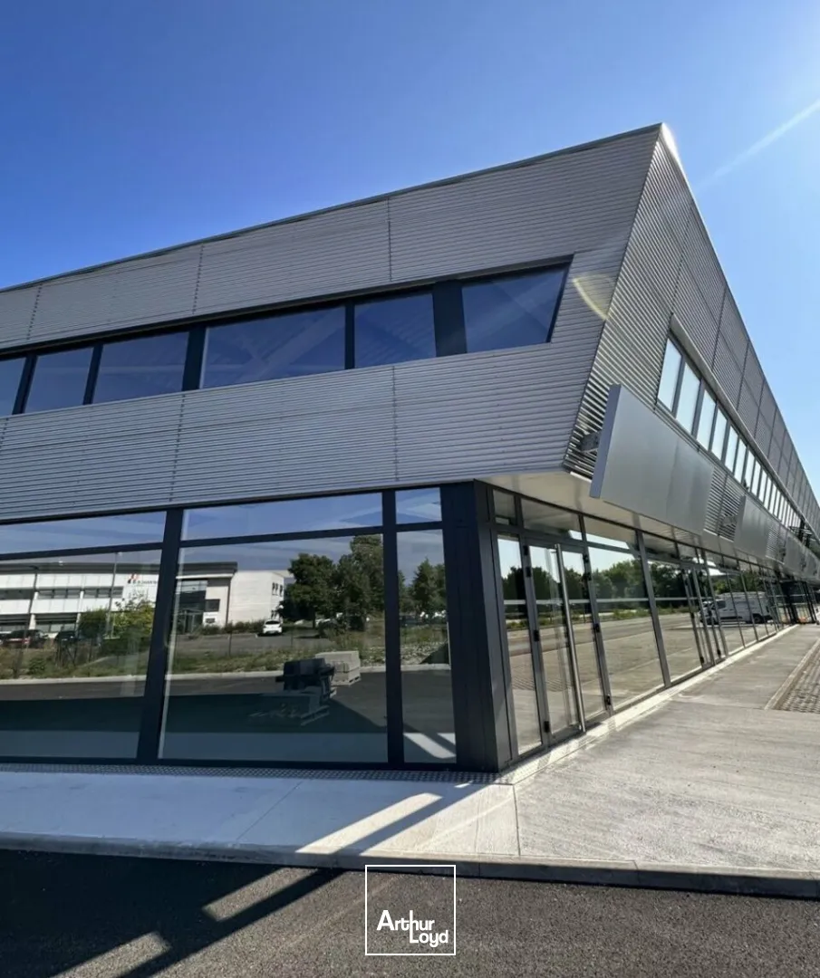 Locaux d'activité & Entrepôts - Vente - SAINTE-CROIX-EN-PLAINE - 68127 - 347-1954 - 7789028