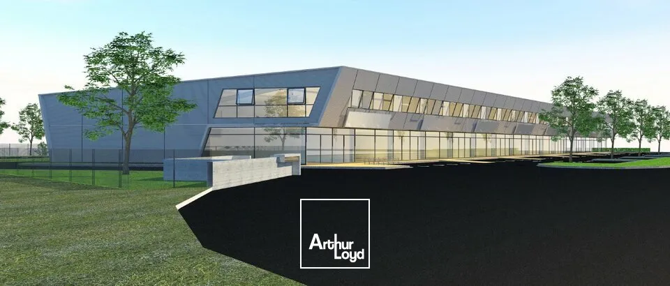 Locaux d'activité & Entrepôts - Vente - SAINTE-CROIX-EN-PLAINE - 68127 - 347-1954 - 7789029