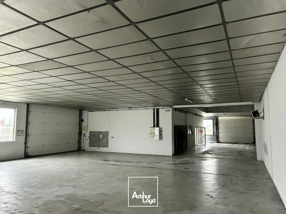 Locaux commerciaux - Location - ILLZACH - 68110 - 378-378 - 7789021