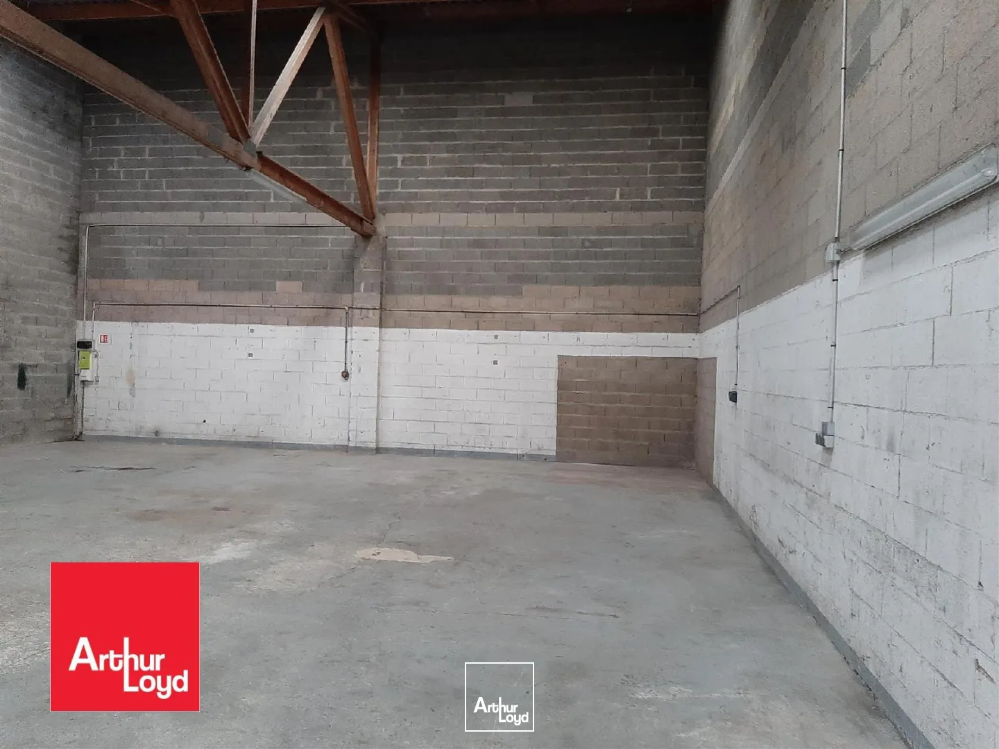 Locaux d'activité & Entrepôts - Location - LUCE - 28110 - 166-166 - 7789667