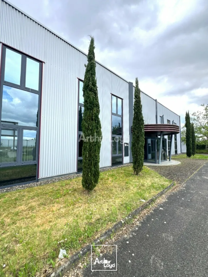 Locaux d'activité & Entrepôts - Location - VOLGELSHEIM - 68600 - 2030-2030 - 7789781
