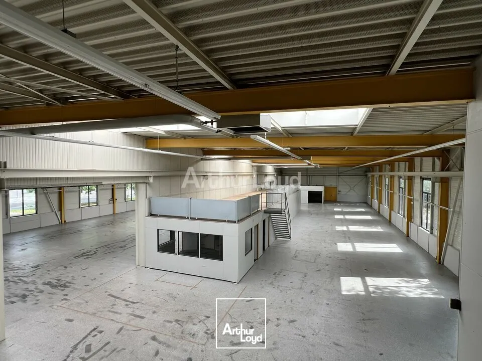 Locaux d'activité & Entrepôts - Location - VOLGELSHEIM - 68600 - 2030-2030 - 7789784