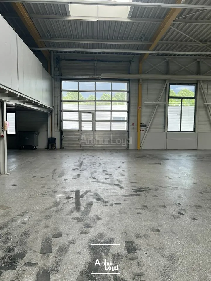 Locaux d'activité & Entrepôts - Location - VOLGELSHEIM - 68600 - 2030-2030 - 7789785