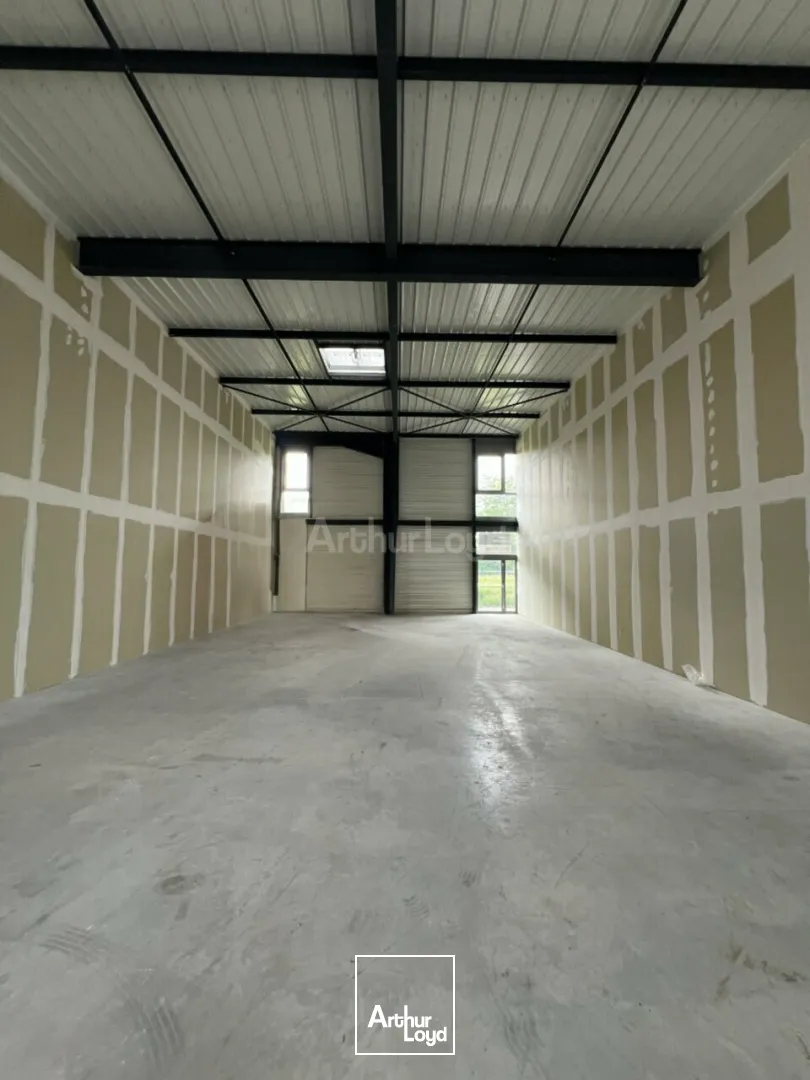 Locaux d'activité & Entrepôts - Location - SAINTE-CROIX-EN-PLAINE - 68127 - 188.65-188.65 - 7789790