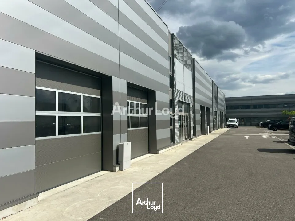 Locaux d'activité & Entrepôts - Location - SAINTE-CROIX-EN-PLAINE - 68127 - 188.65-188.65 - 7789788