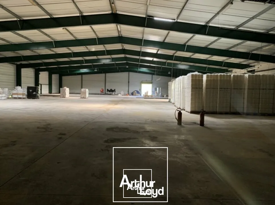 Locaux d'activité & Entrepôts - Vente - ALLASSAC - 19240 - 3587-3587 - 7789821