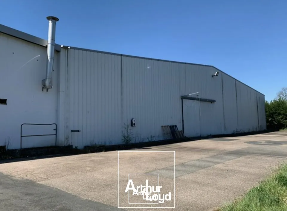 Locaux d'activité & Entrepôts - Vente - ALLASSAC - 19240 - 3587-3587 - 7789820