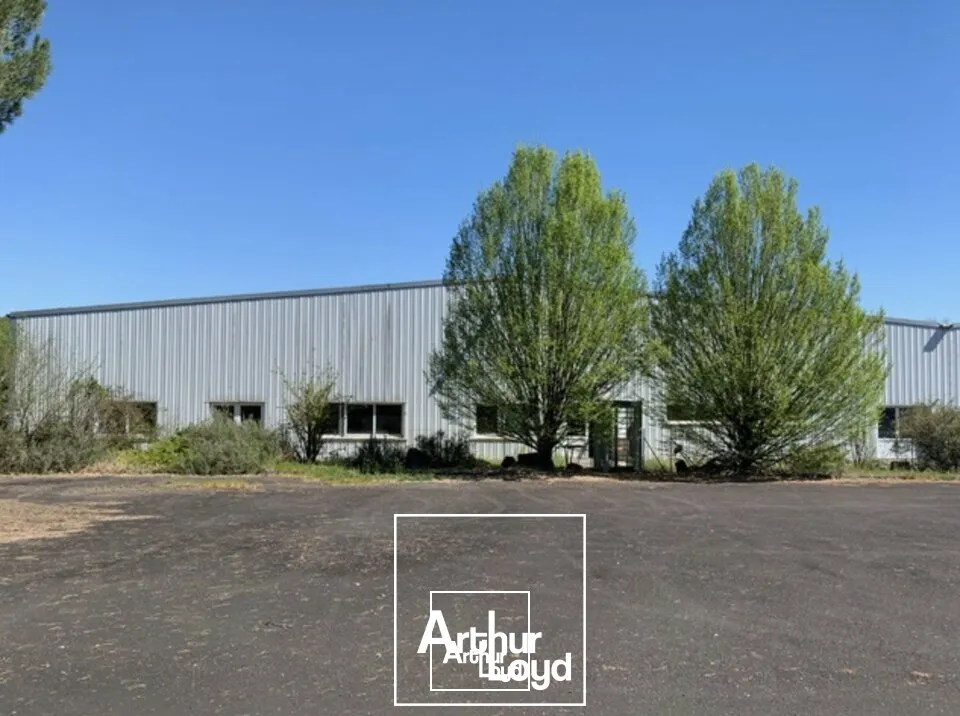 Locaux d'activité & Entrepôts - Vente - ALLASSAC - 19240 - 3587-3587 - 7789828