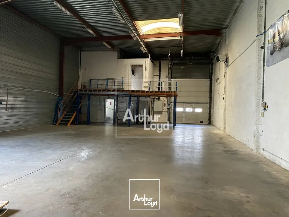 Locaux d'activité & Entrepôts - Vente - SAINTE GENEVIEVE DES BOIS - 91700 - 379.8-379.8 - 7789859