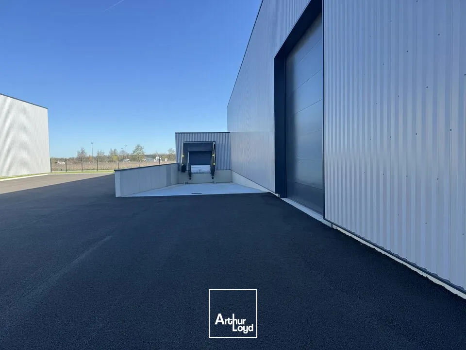 Locaux d'activité & Entrepôts - Vente - PARCAY MESLAY - 37210 - 1640-1640 - 7790006