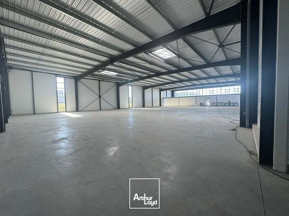 Locaux d'activité & Entrepôts - Location - PARCAY MESLAY - 37210 - 1640-1640 - 7790009