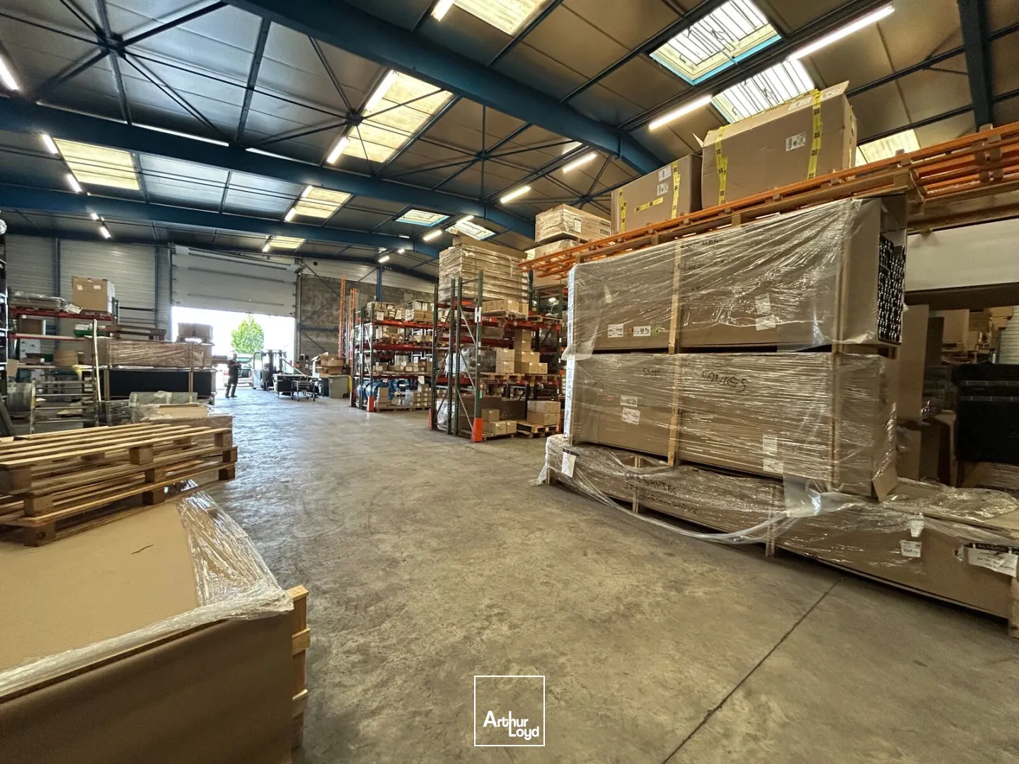 Locaux d'activité & Entrepôts - Location - SAINTE LUCE SUR LOIRE - 44980 - 1348-1348 - 7790339