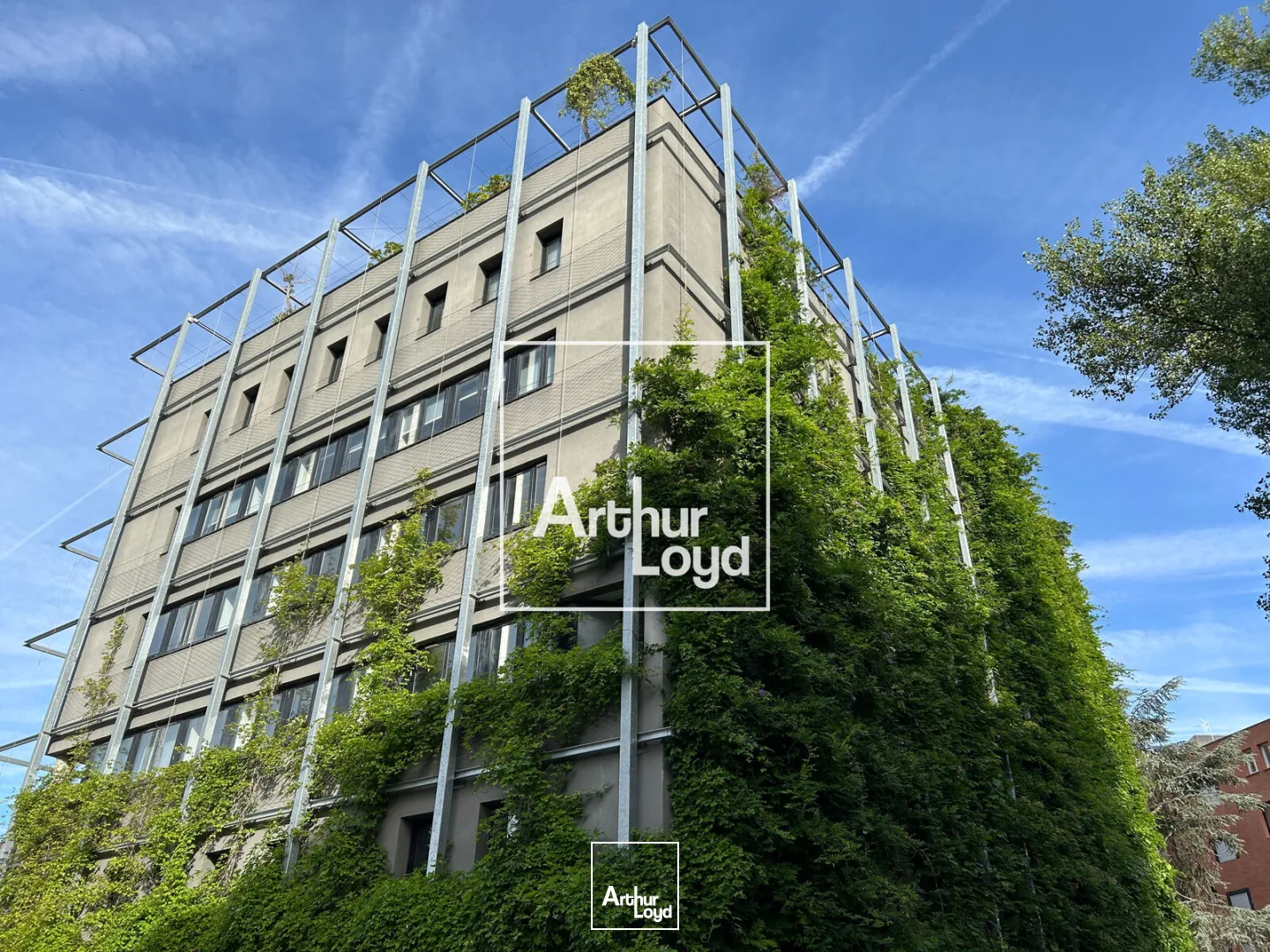 Bureaux - Location - TOULOUSE - 31400 - 1631.6-2031.6 - 7790523
