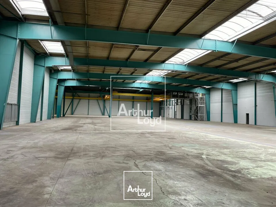 Locaux d'activité & Entrepôts - Location - LIEUSAINT - 77127 - 824-824 - 7790825
