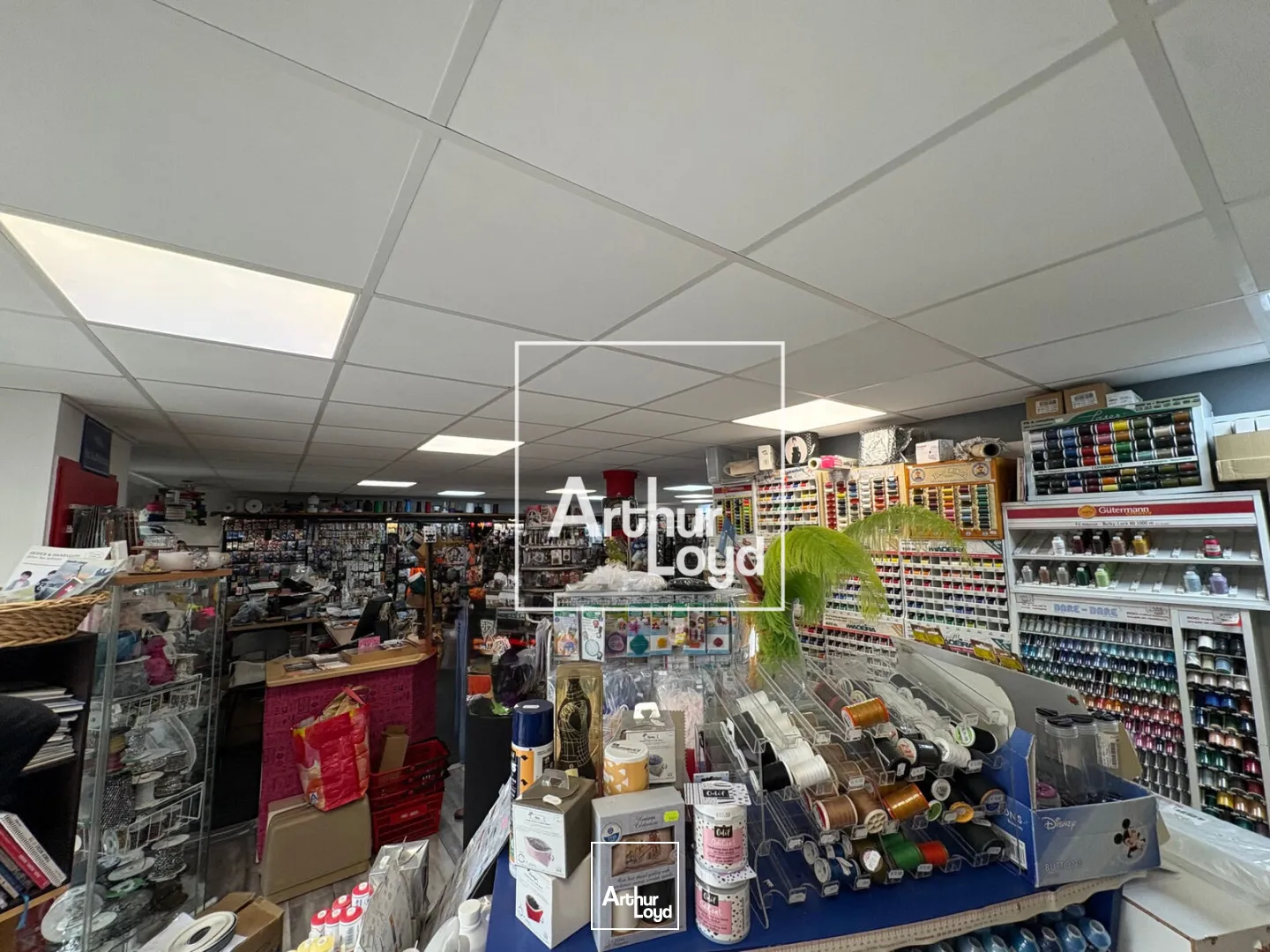 Locaux commerciaux - Location - MONTPELLIER - 34070 - 105-105 - 7790981
