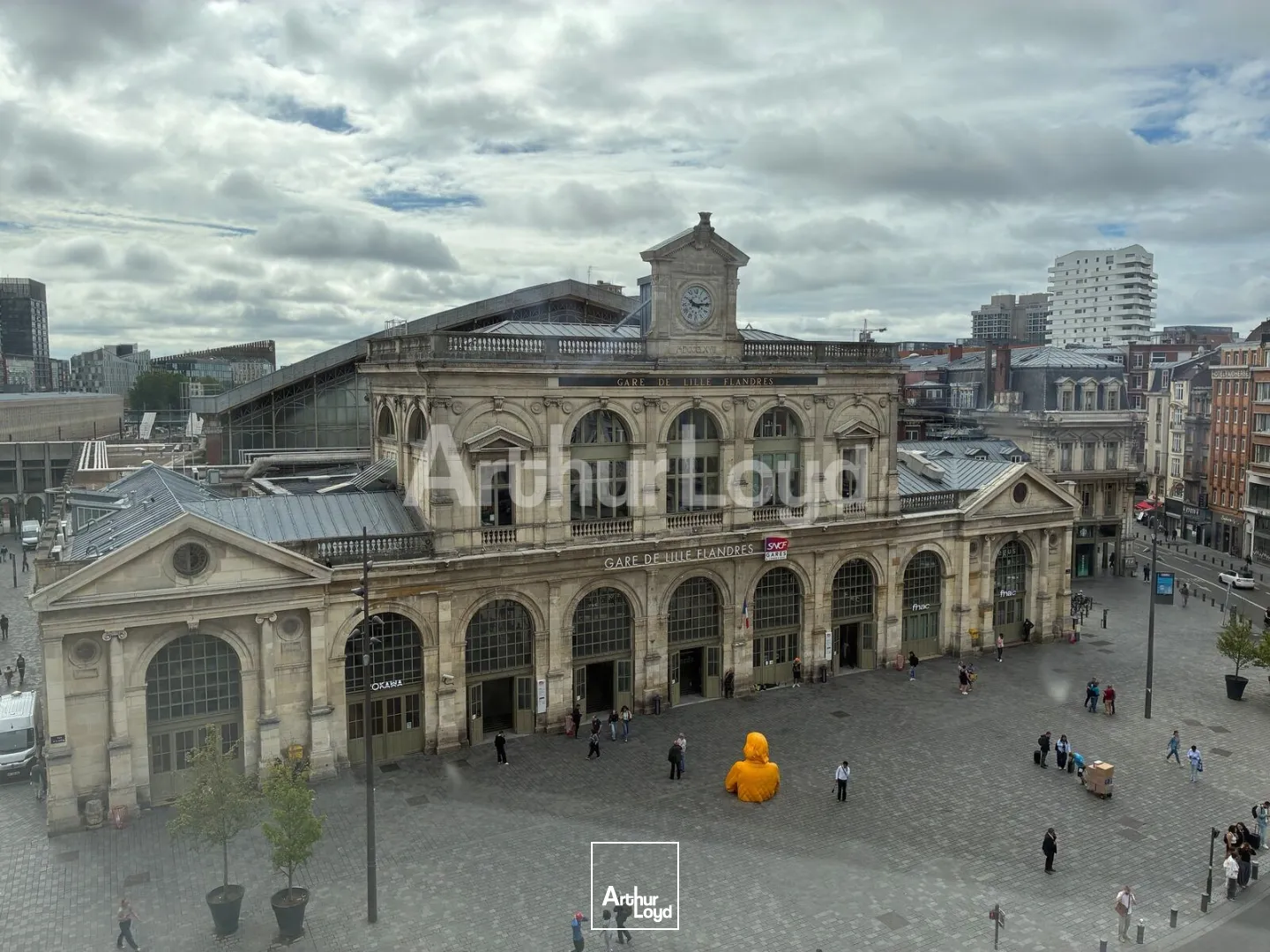 Bureaux - Location - LILLE - 59000 - 149-449 - 7791385
