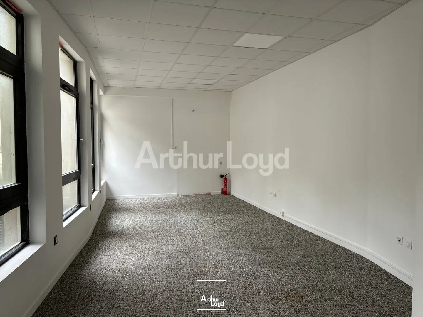 Bureaux - Location - LILLE - 59000 - 149-449 - 7791394