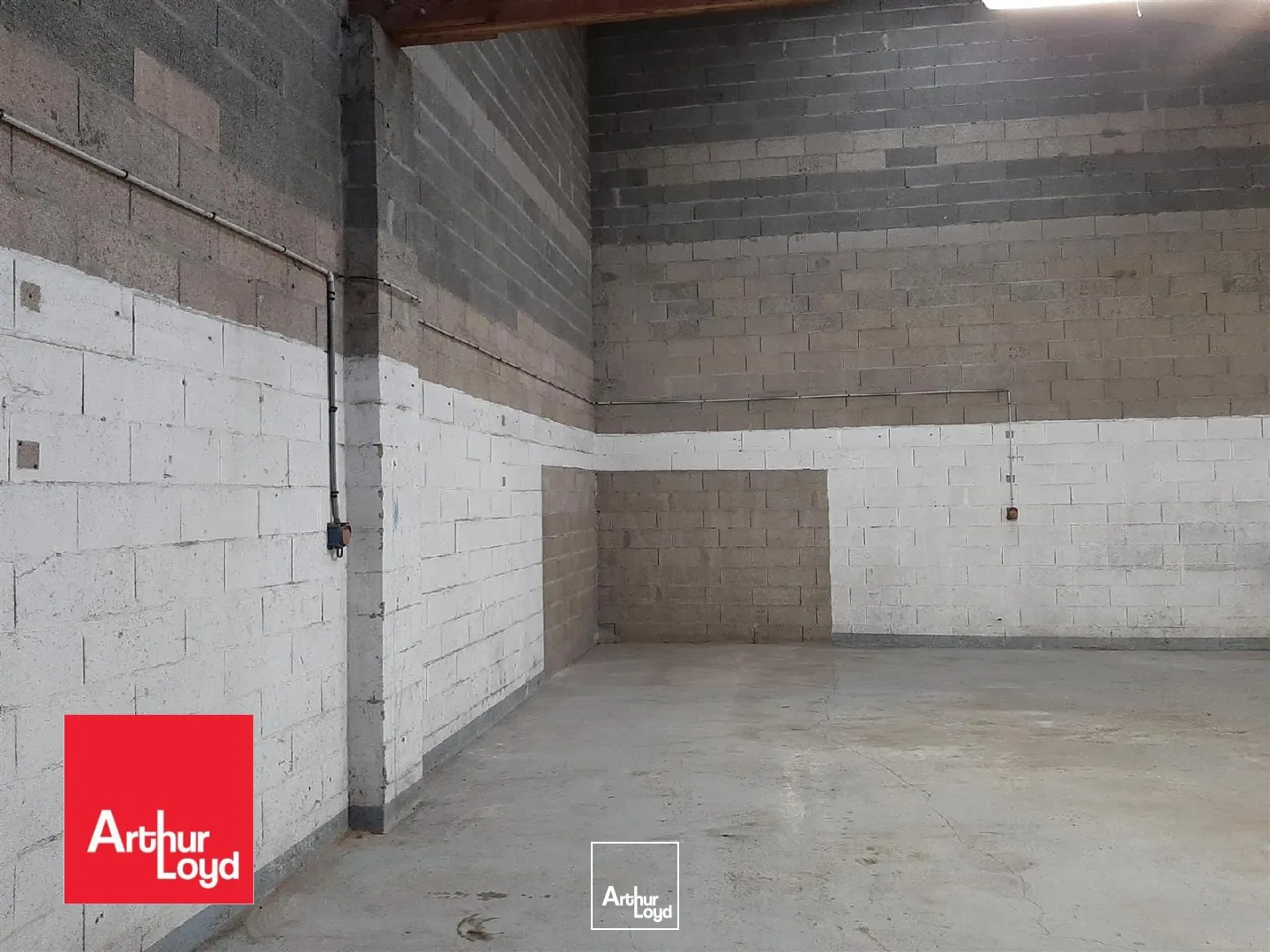 Locaux d'activité & Entrepôts - Location - LUCE - 28110 - 166-166 - 7791595