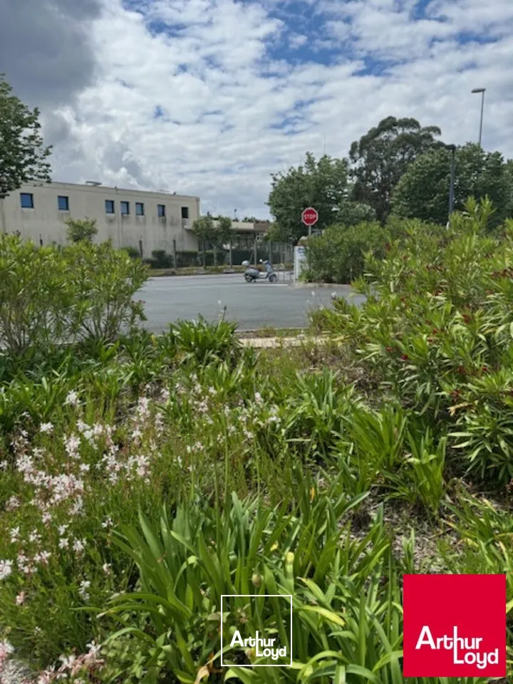 Bureaux - Vente - ANGLET - 64600 - 120-120 - 7792403