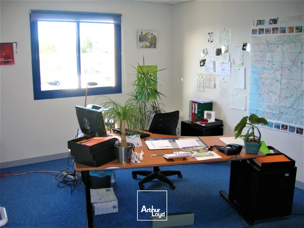 Bureaux - Location - JAUNAY CLAN - 86130 - 63.5-63.5 - 7793485