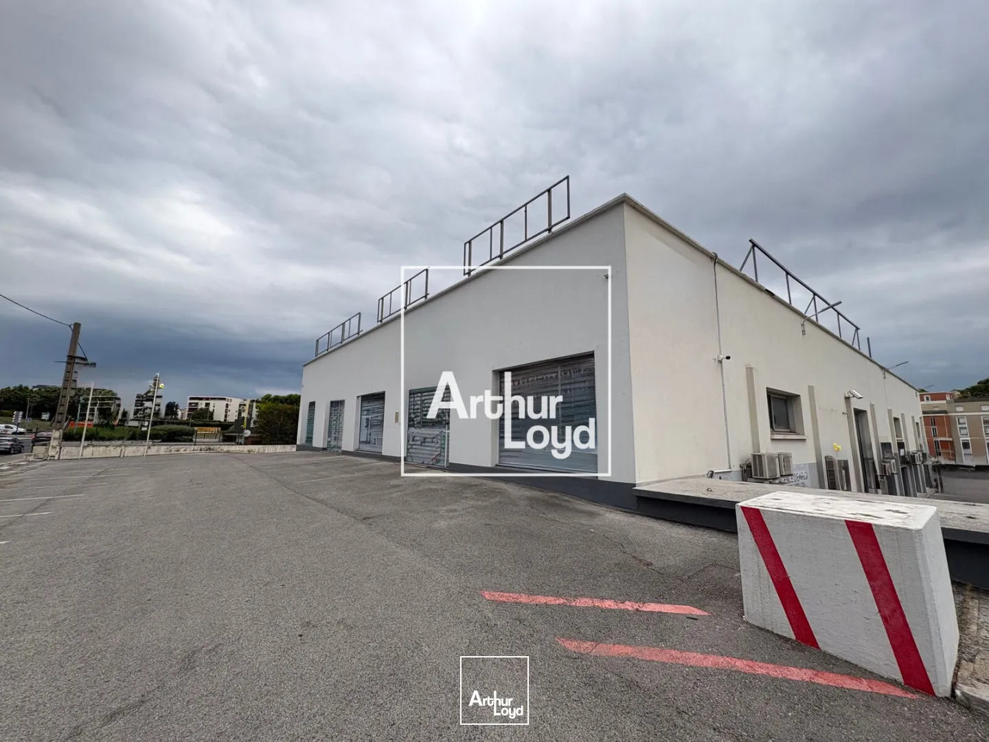 Locaux commerciaux - Location - MONTPELLIER - 34070 - 1000-1000 - 7793728