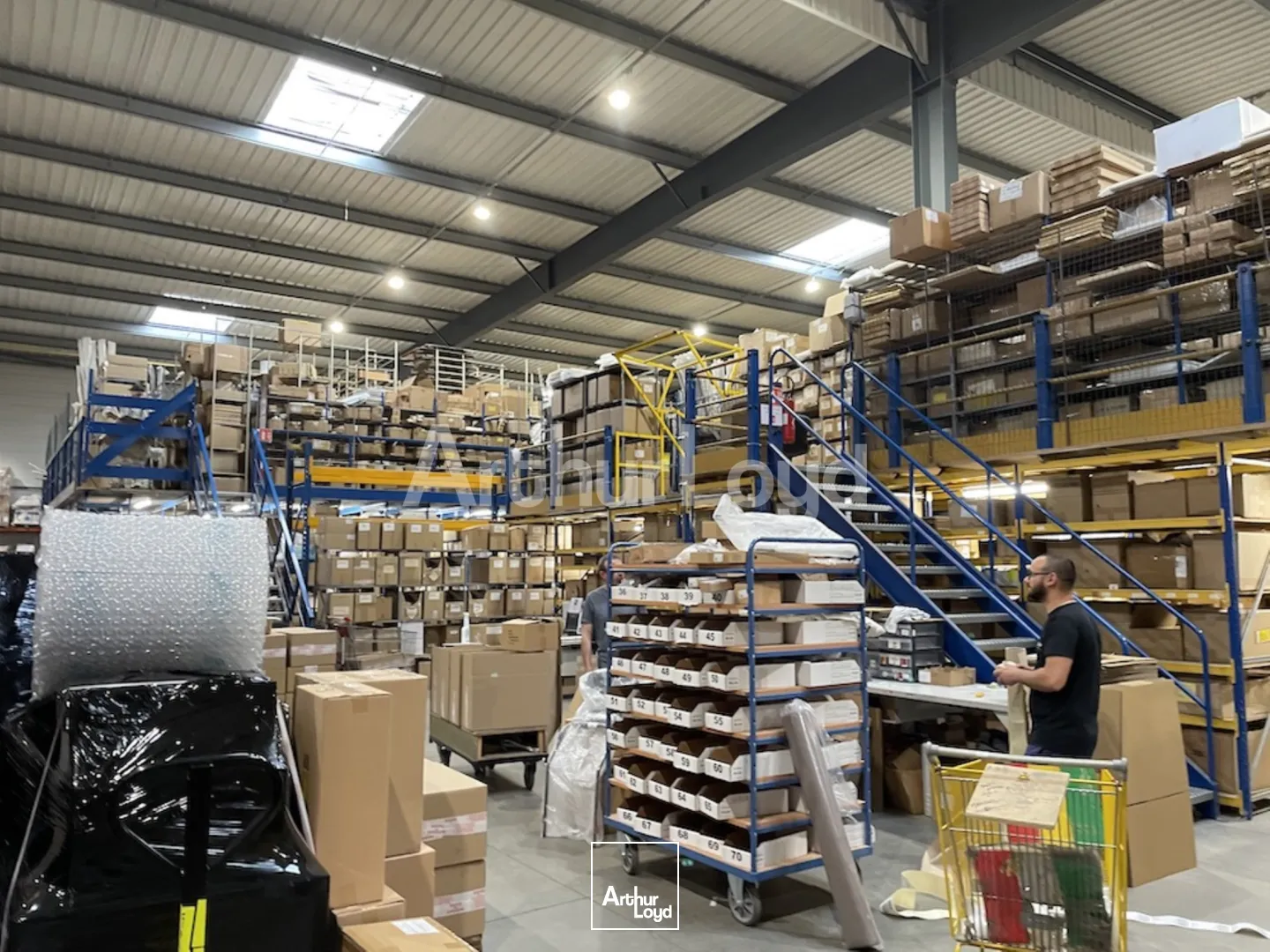 Locaux d'activité & Entrepôts - Location - SARS ET ROSIERES - 59230 - 4152-4152 - 7794054