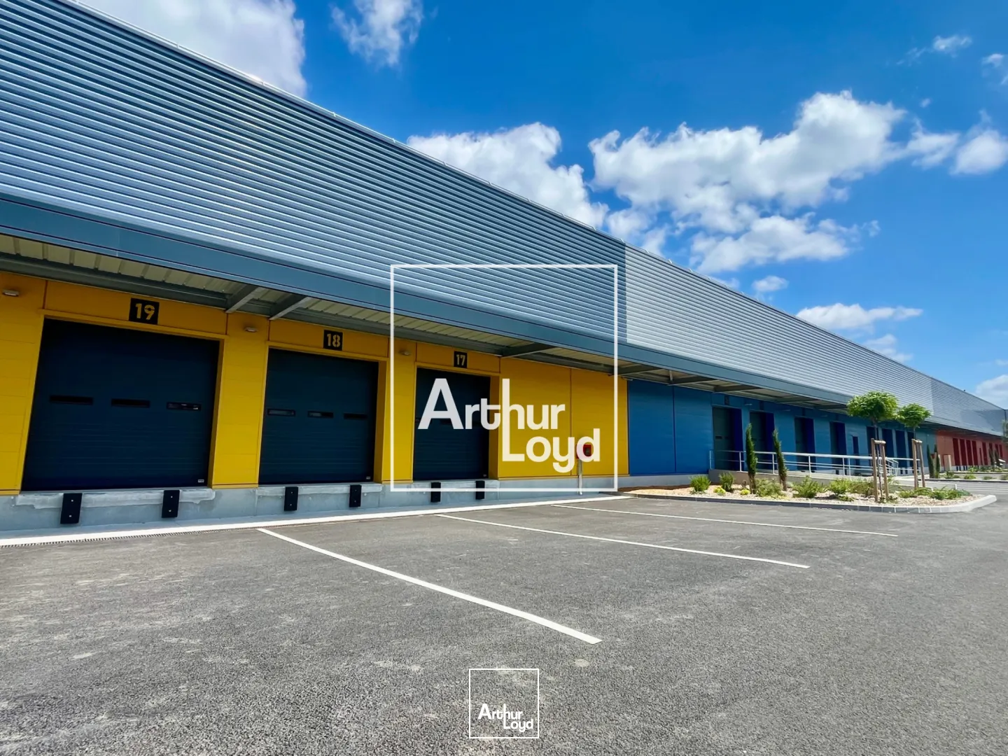 Locaux d'activité & Entrepôts - Location - TOULOUSE - 31100 - 2238-2238 - 7794109