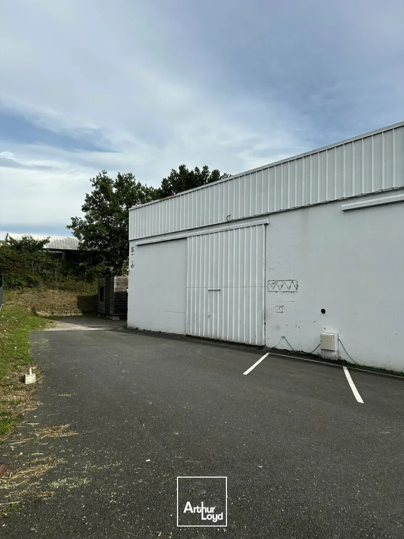 Bureaux - Location - BRIVE-LA-GAILLARDE - 19100 - 1230-1230 - 7794343