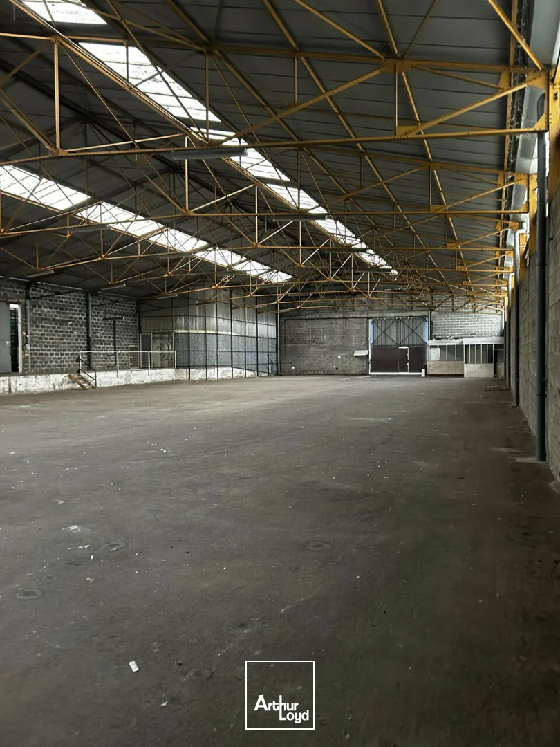 Bureaux - Location - BRIVE-LA-GAILLARDE - 19100 - 1230-1230 - 7794339
