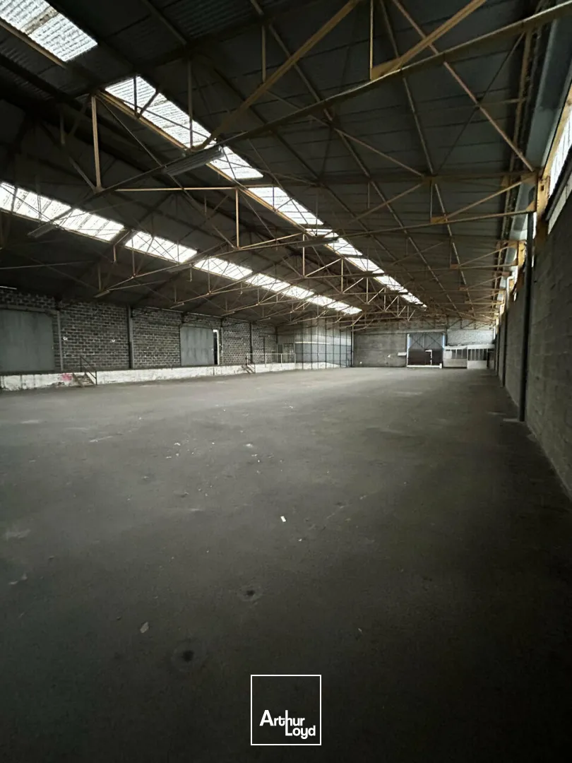 Bureaux - Location - BRIVE-LA-GAILLARDE - 19100 - 1230-1230 - 7794340