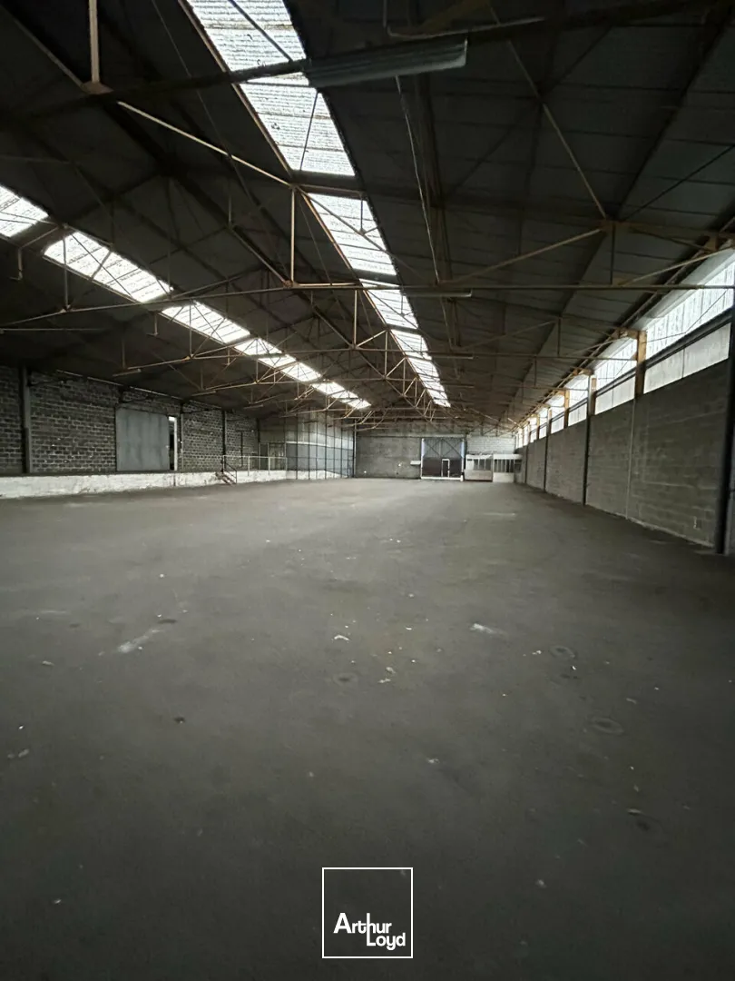 Bureaux - Location - BRIVE-LA-GAILLARDE - 19100 - 1230-1230 - 7794341